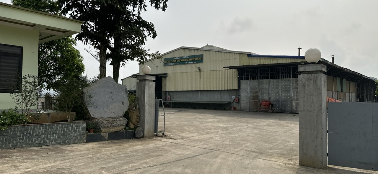 HỢP TÁC XÃ SẢN XUẤT KINH DOANH CHÈ VÂN HỒ